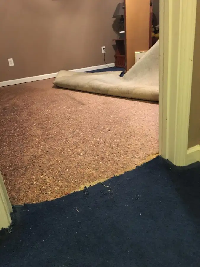 Carpet pad removal revealing water damage during Drying & Dehumidification in Cibolo