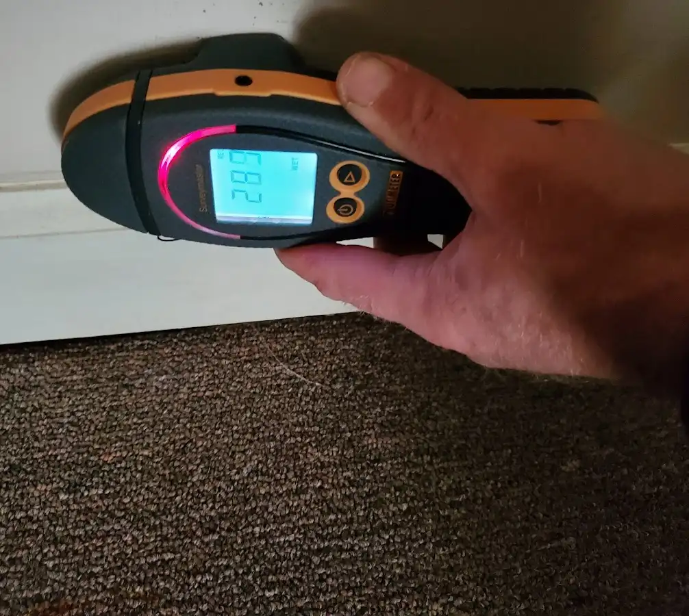 Moisture detection at baseboard during Sewage Cleanup & Sanitation in Cibolo