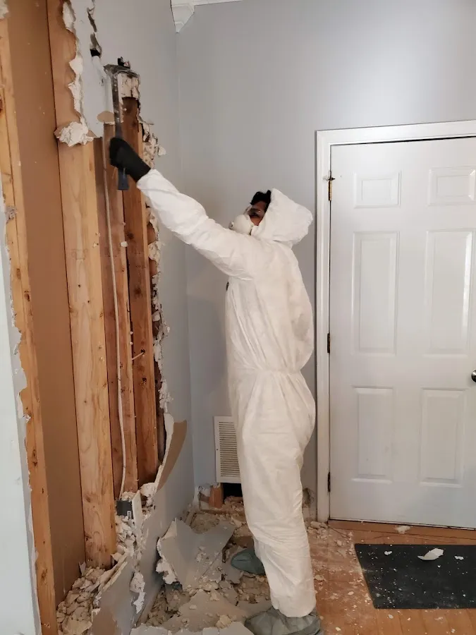 Water Damage Assessment in Cibolo, TX